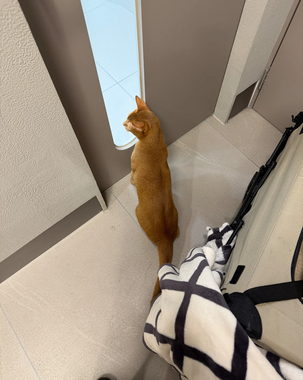 리뷰 사진 2