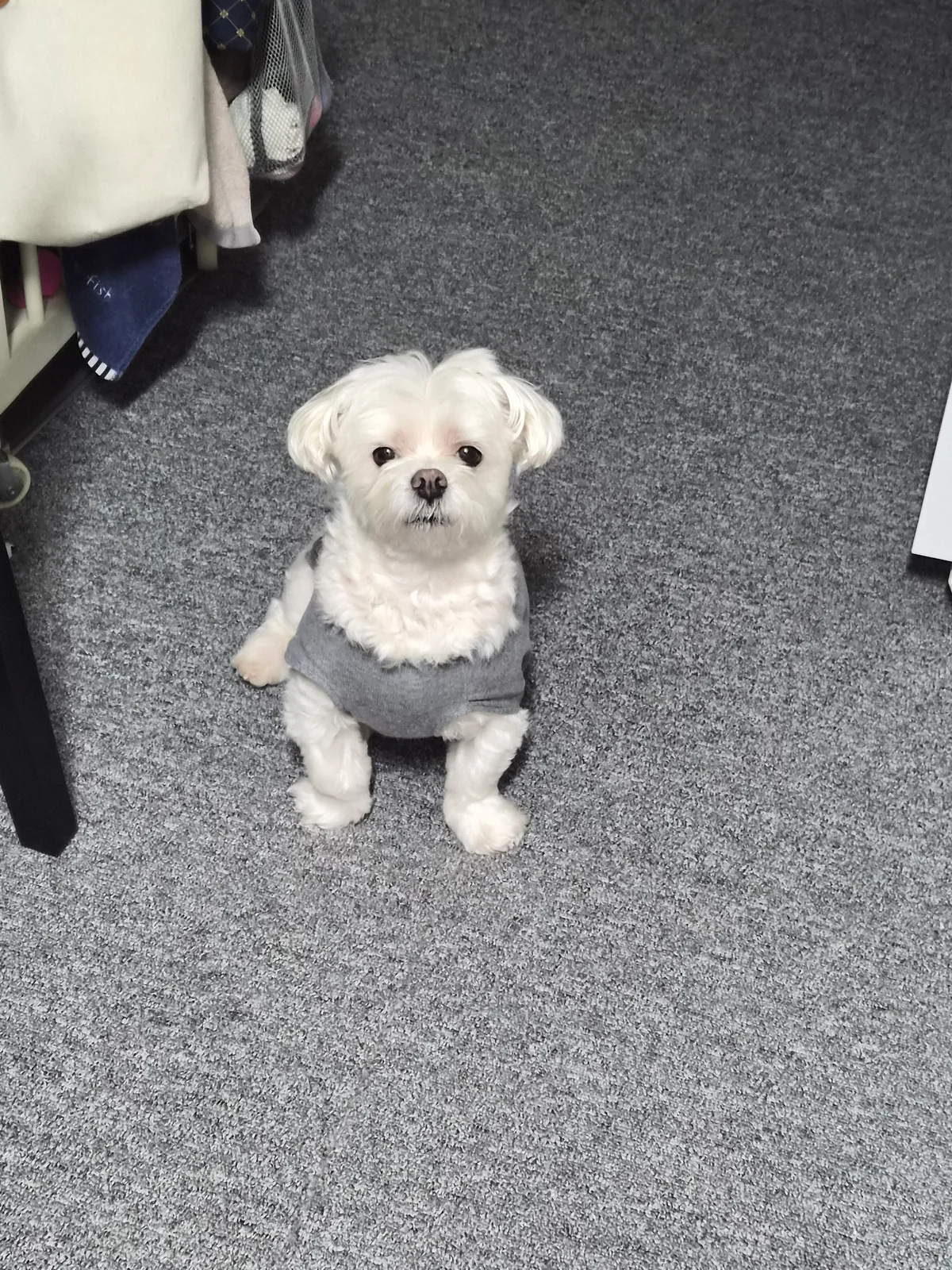 리뷰 사진 1
