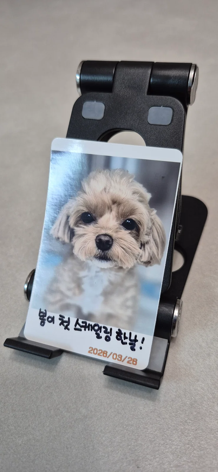 리뷰 사진 1