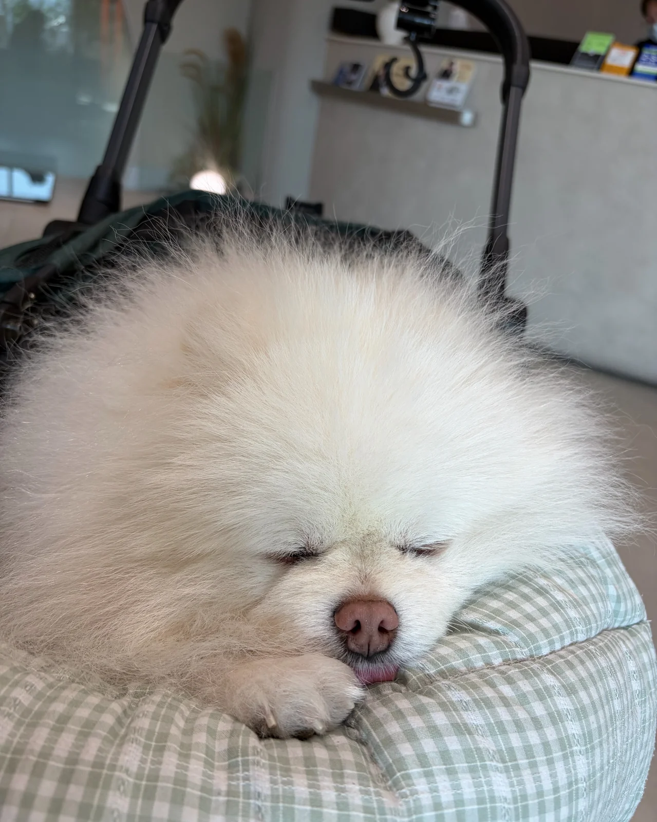 리뷰 사진 1