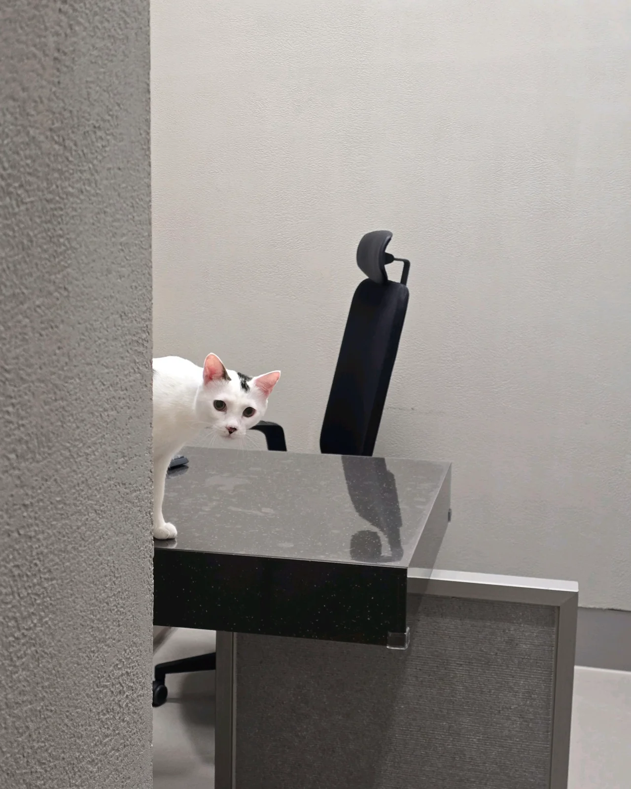 리뷰 사진 1