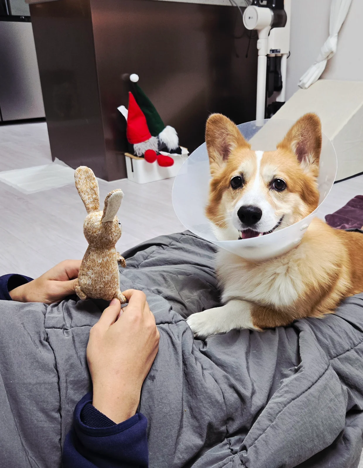 리뷰 사진 1