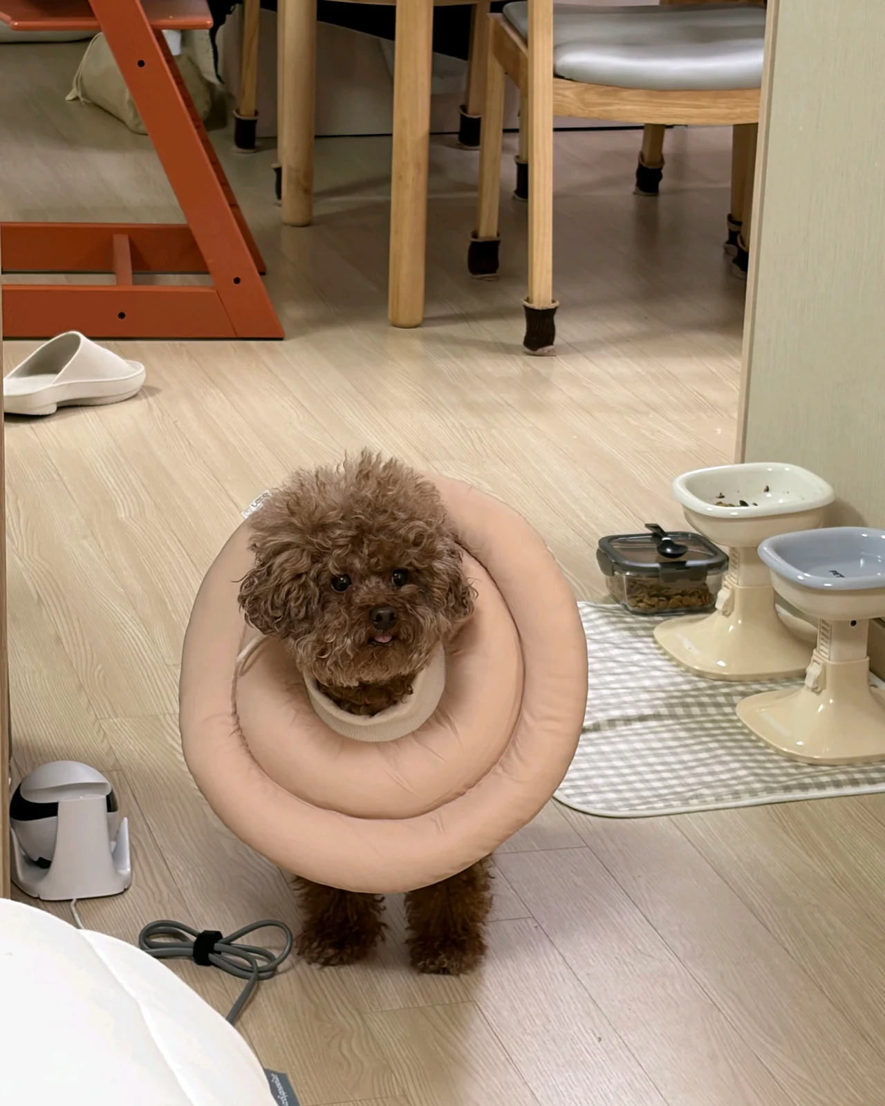 리뷰 사진 3