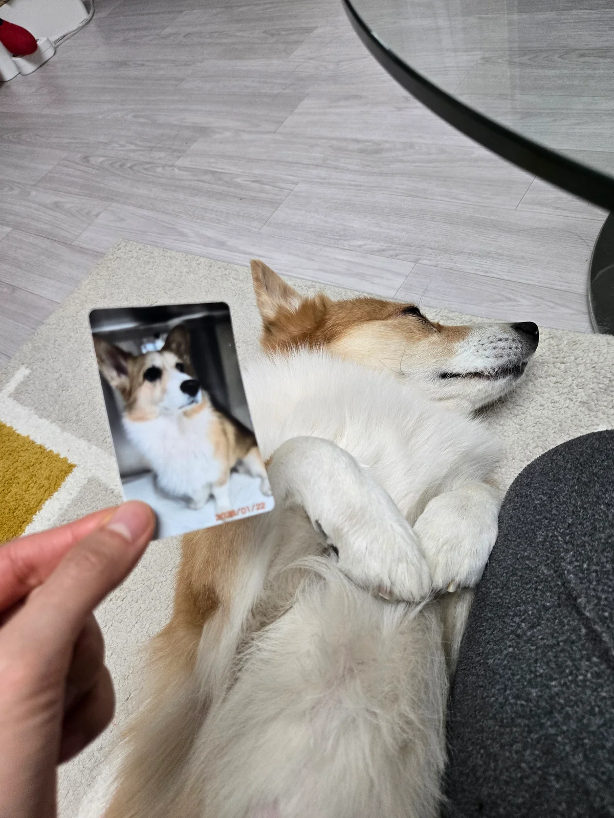 리뷰 사진 1