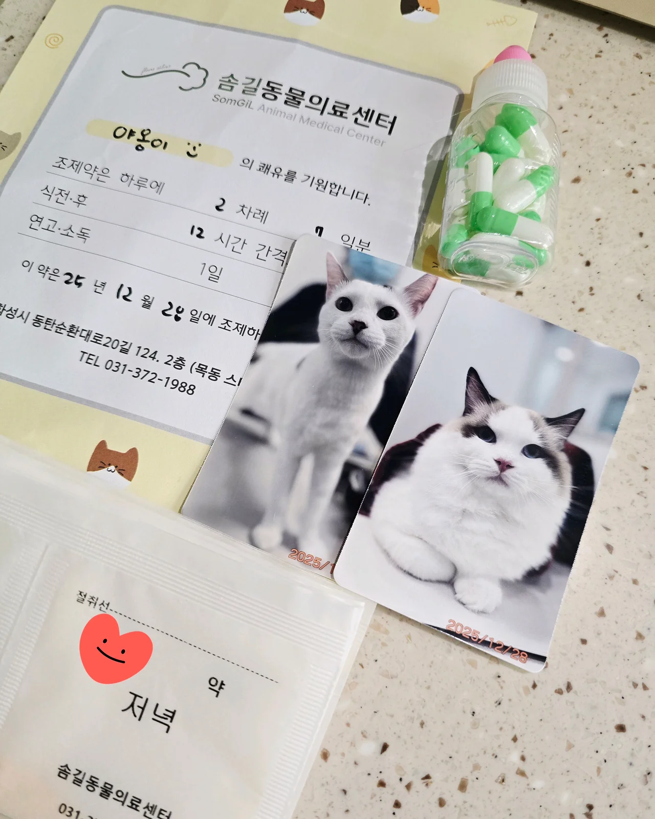 리뷰 사진 3