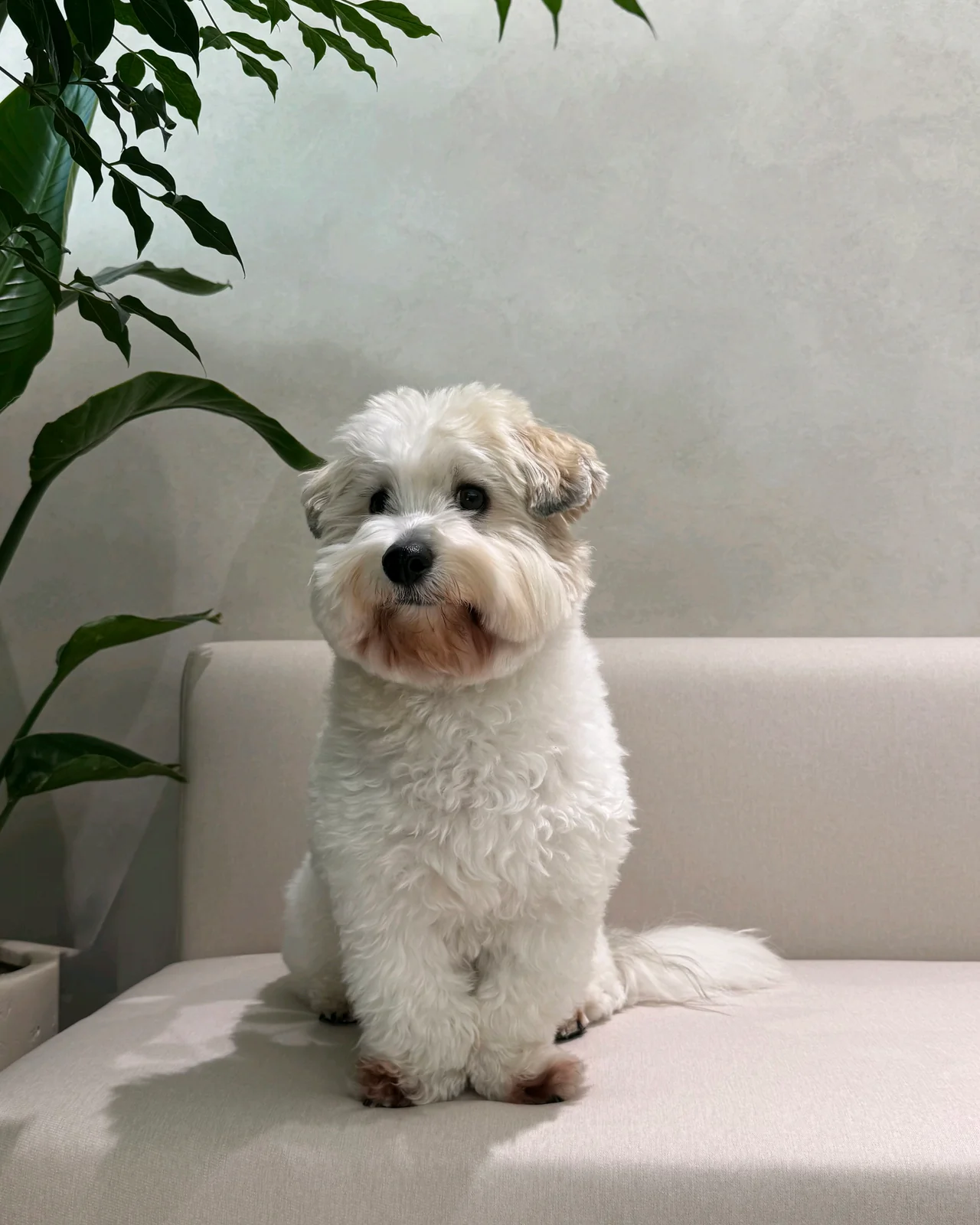 리뷰 사진 1