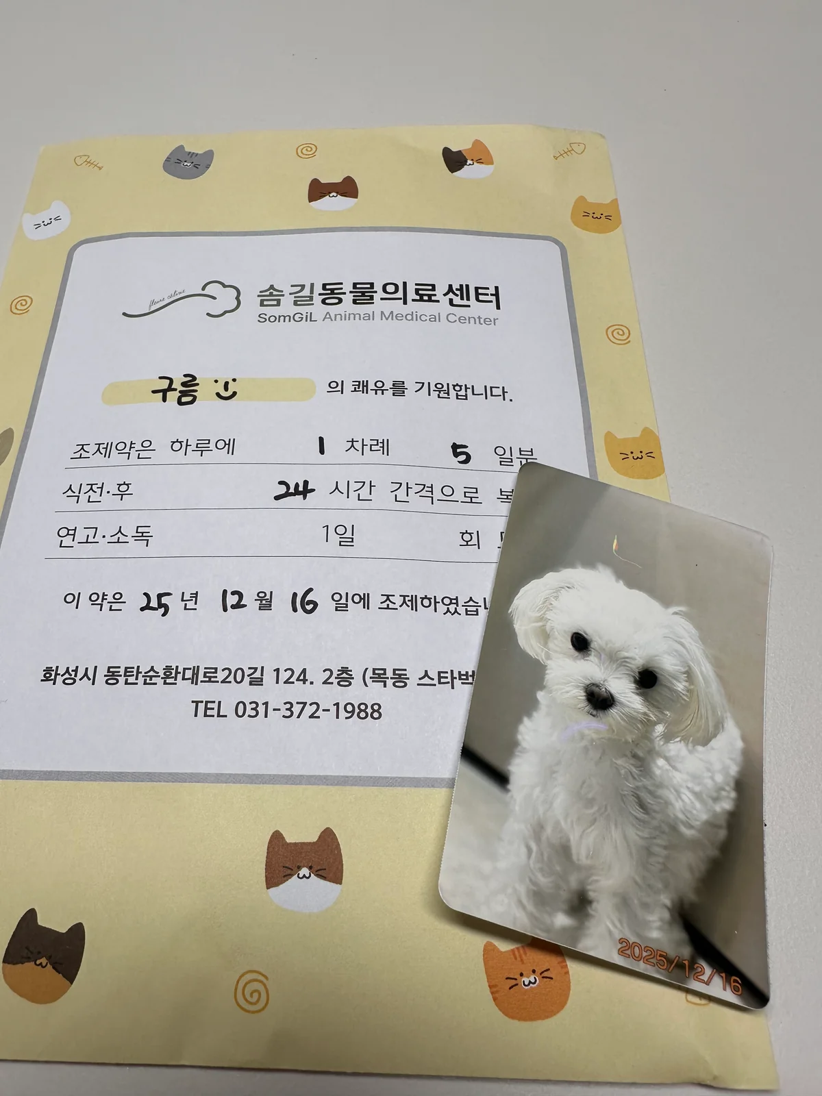 리뷰 사진 1