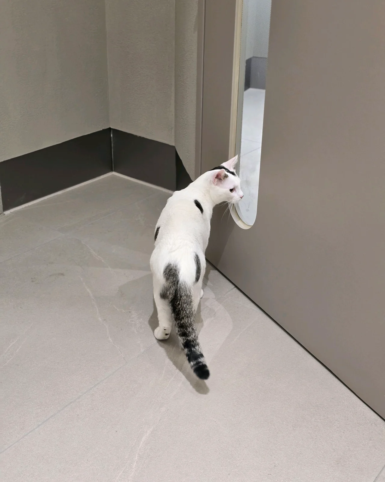 리뷰 사진 2