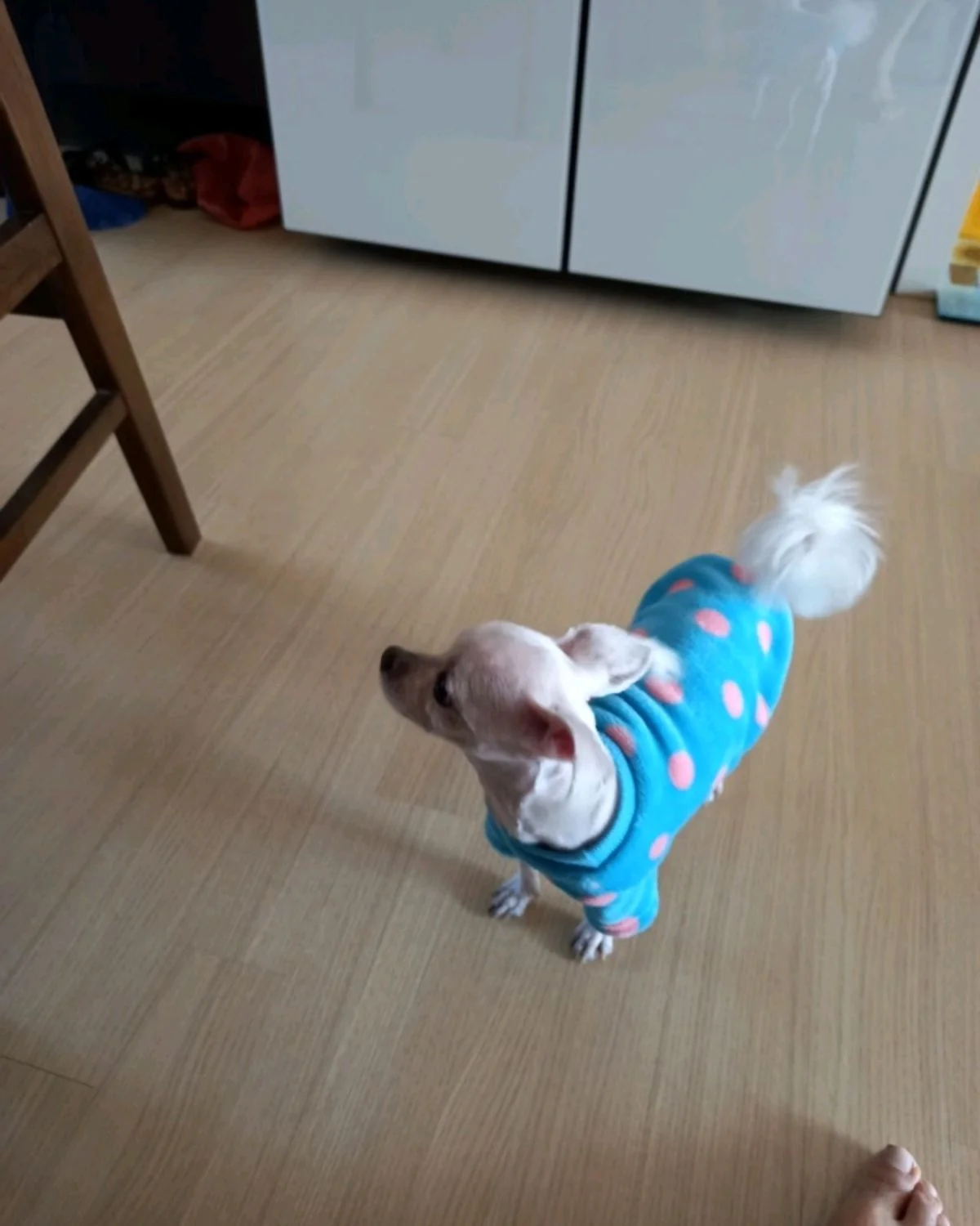 리뷰 사진 1