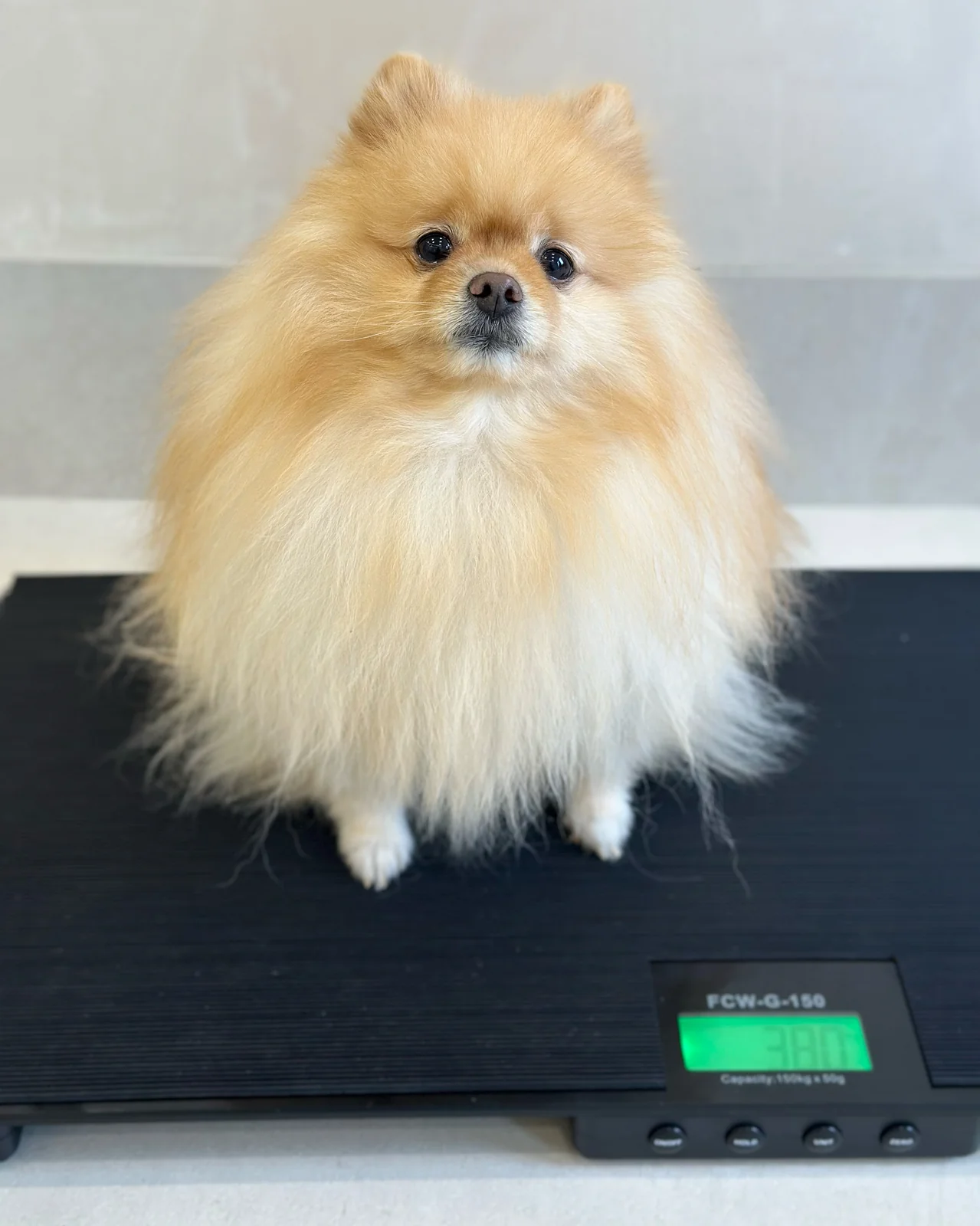 리뷰 사진 1