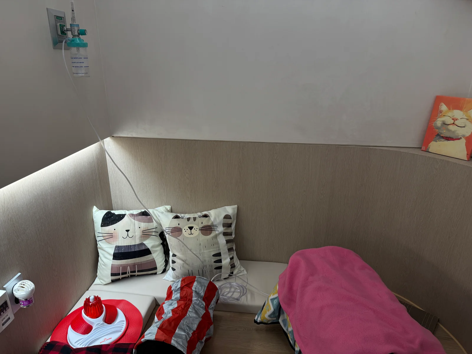 리뷰 사진 1