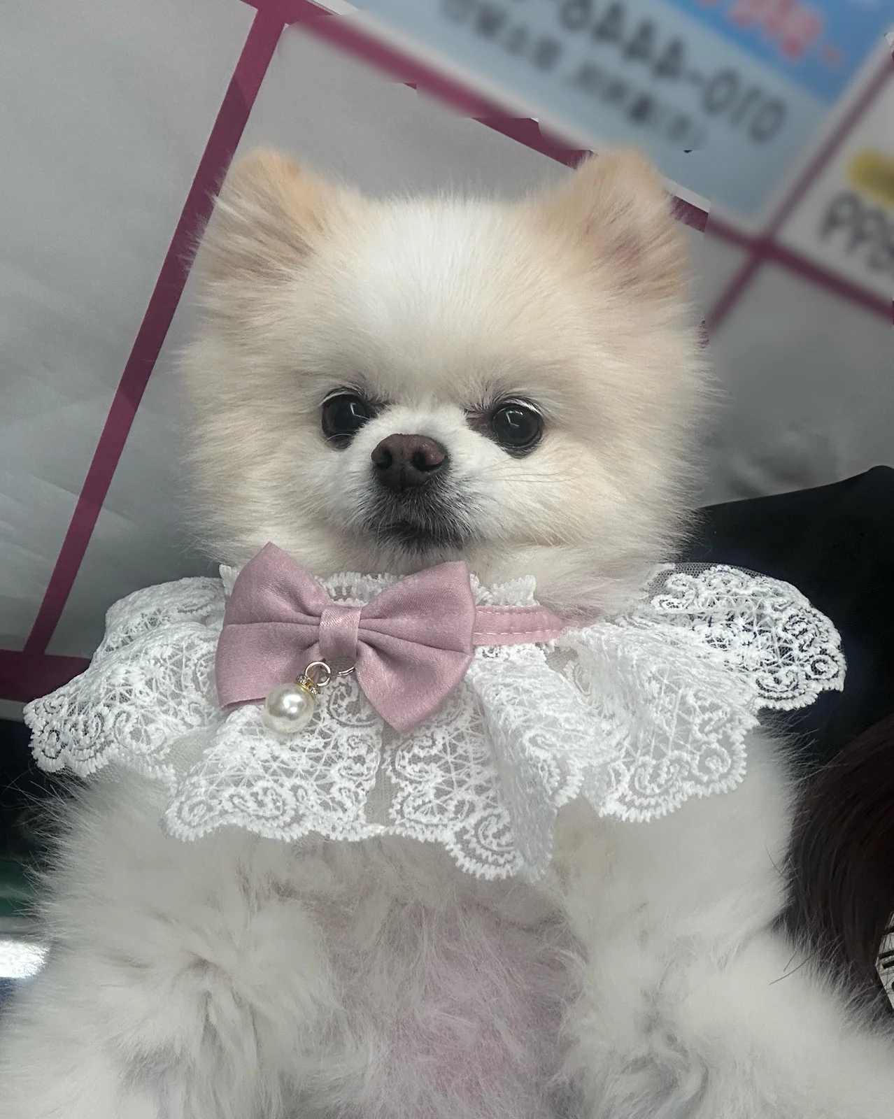 리뷰 사진 1