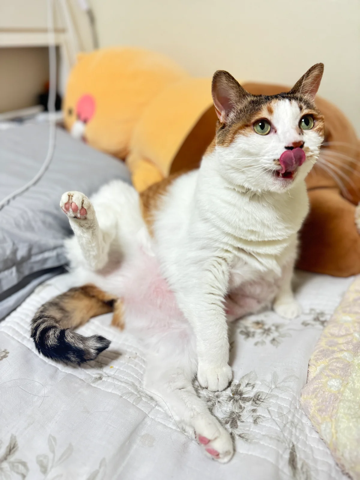 리뷰 사진 3
