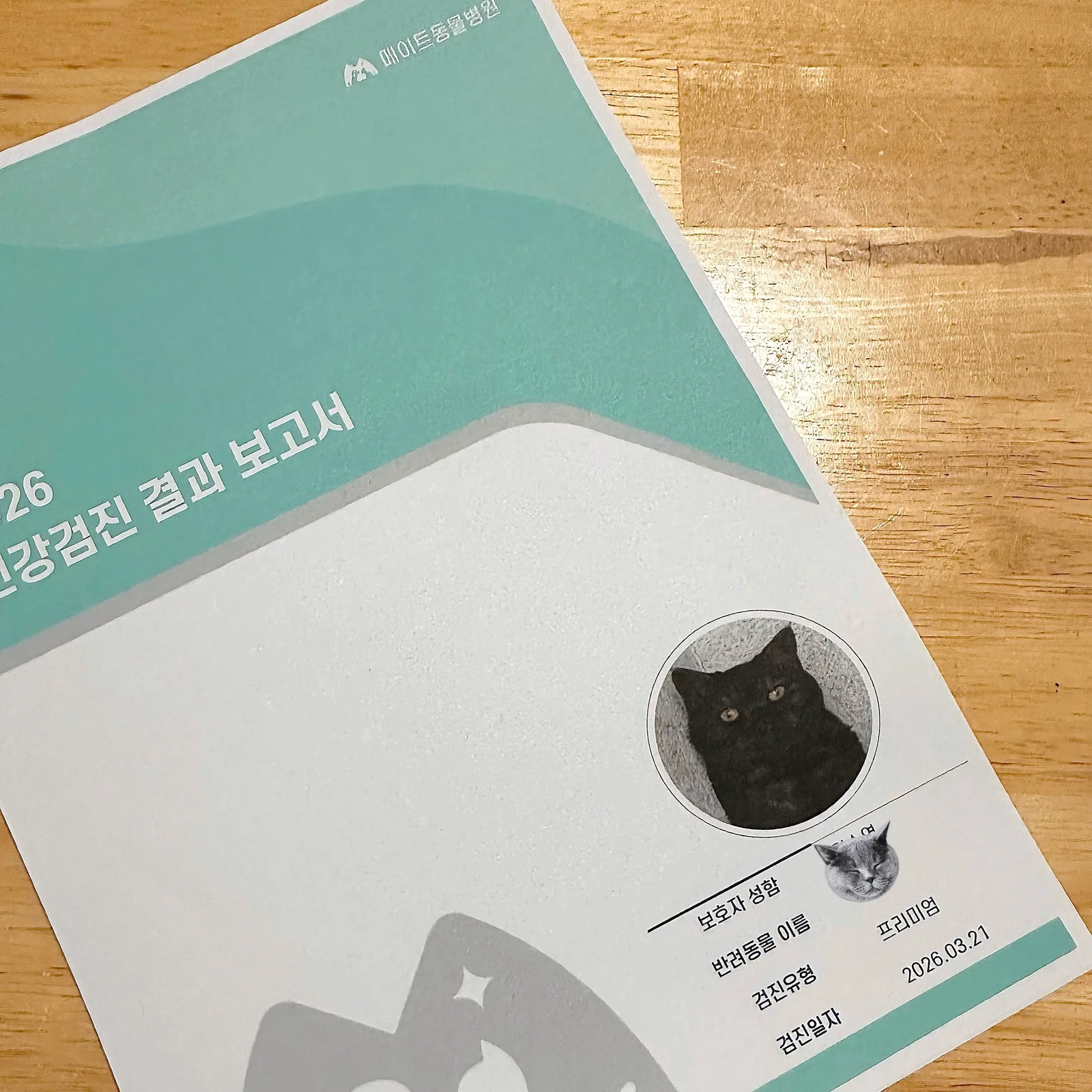 리뷰 사진 1
