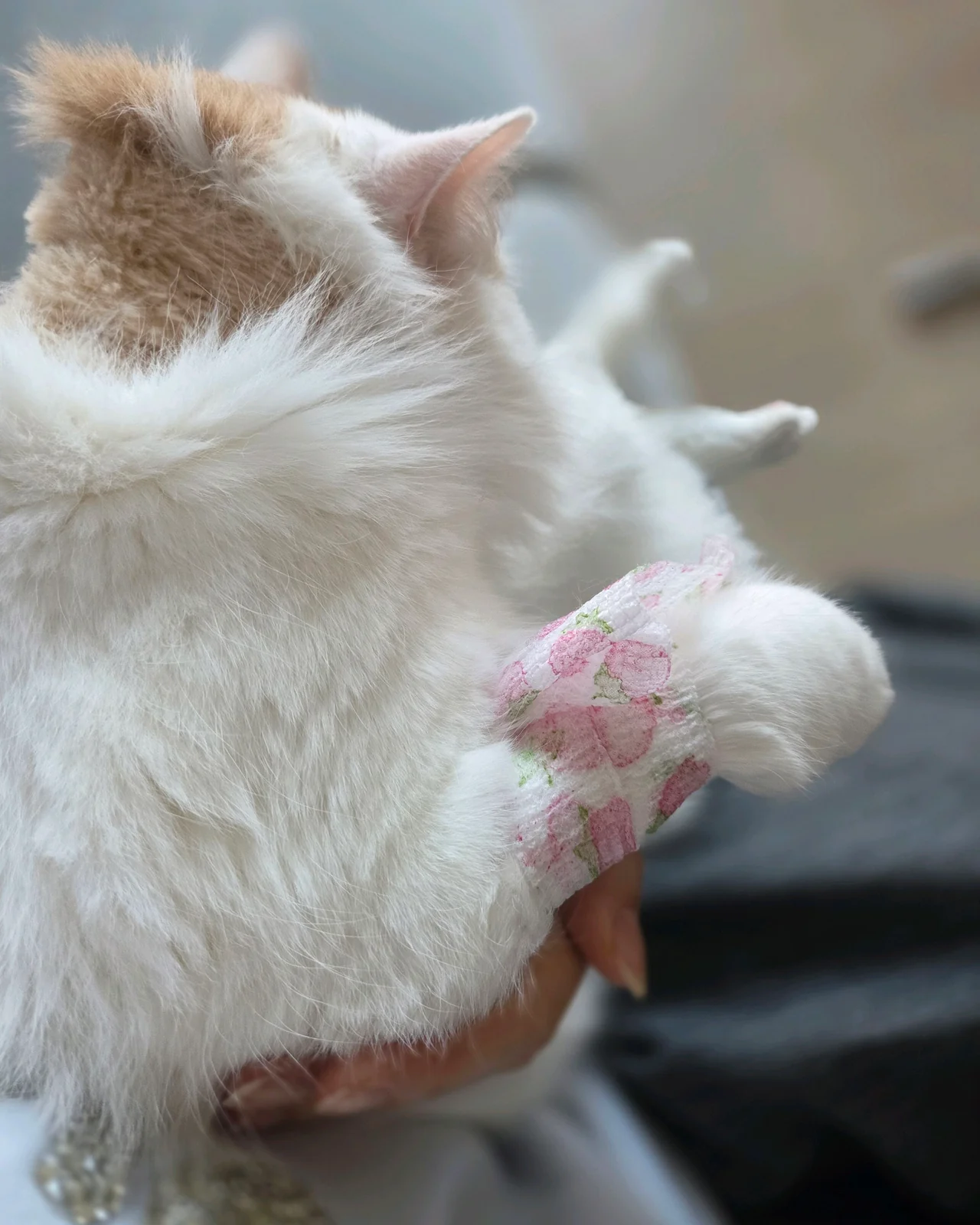 리뷰 사진 1