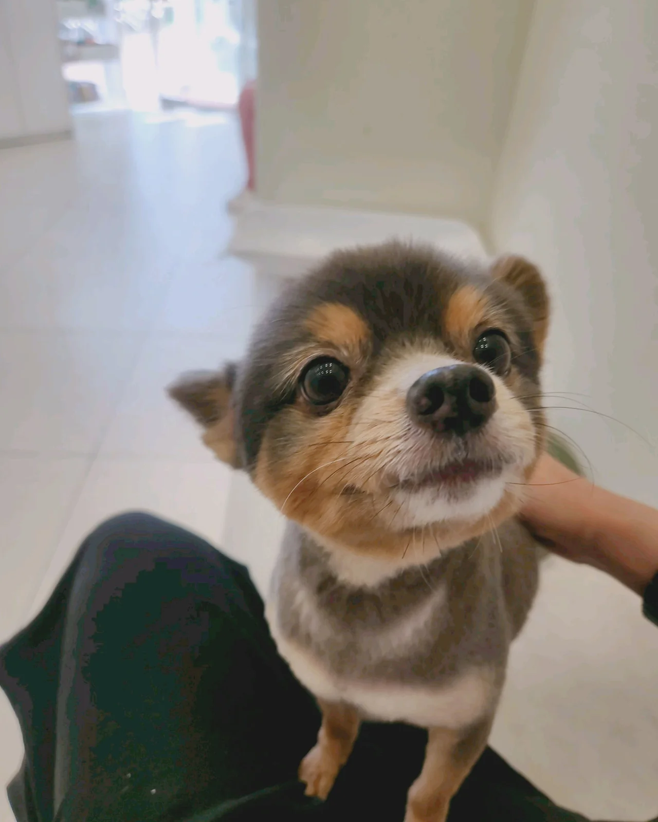 리뷰 사진 1