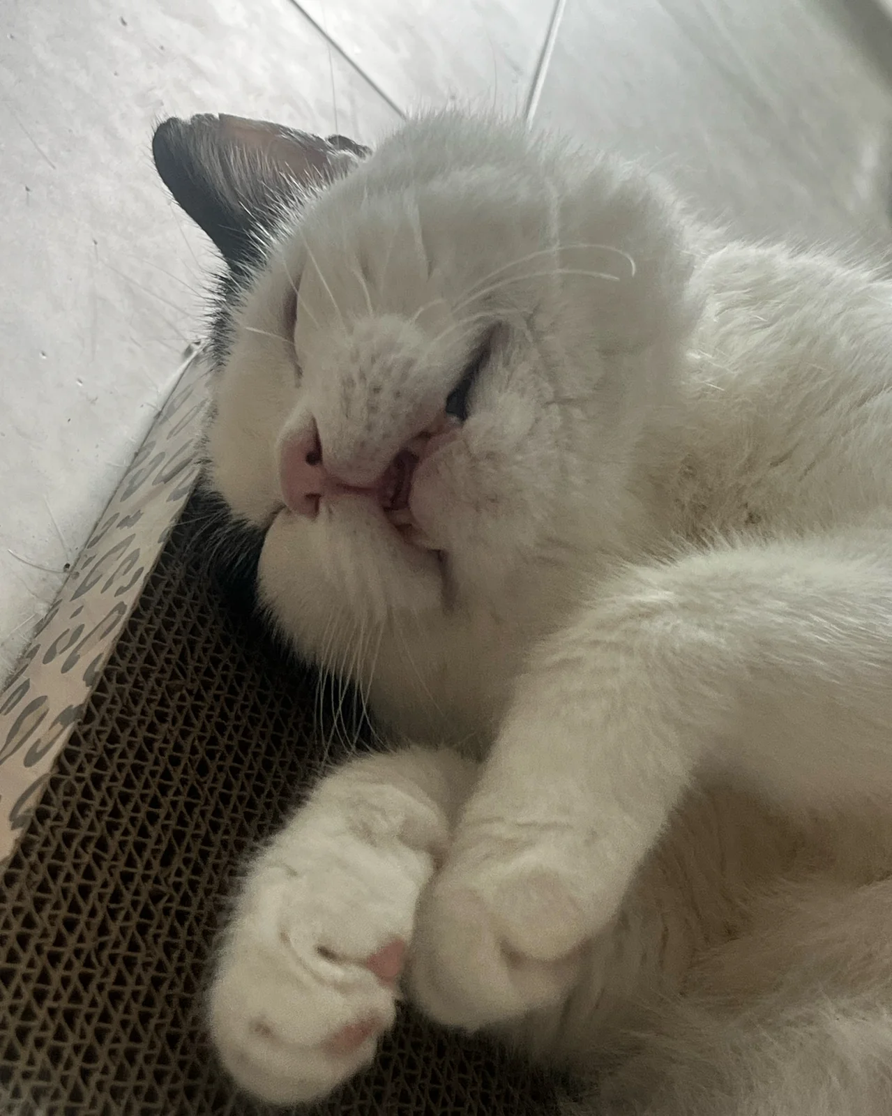 리뷰 사진 1