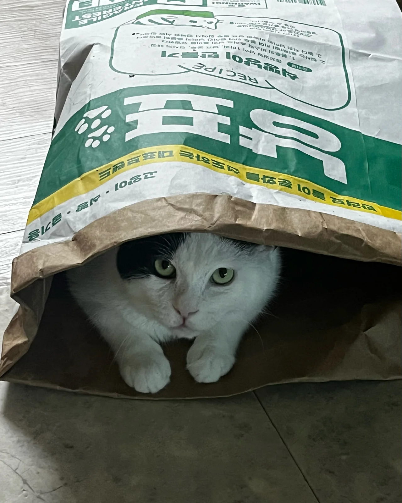 리뷰 사진 2