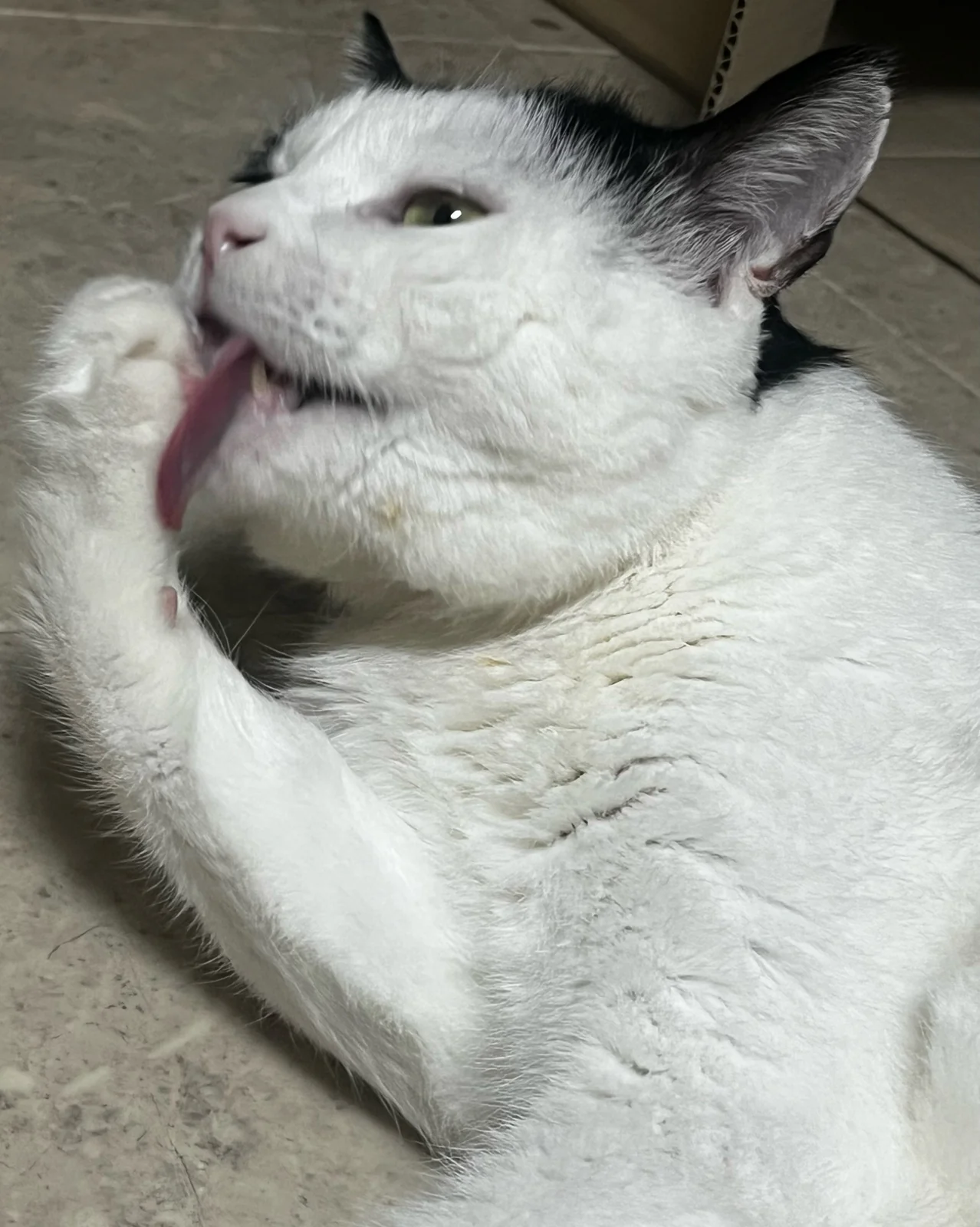 리뷰 사진 2