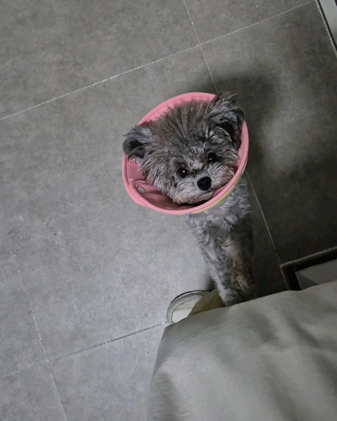 리뷰 사진 1