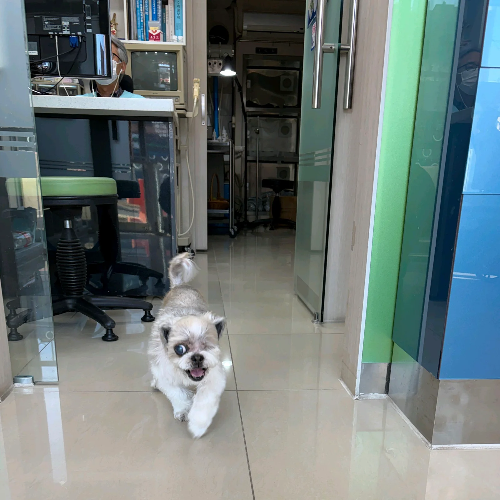 리뷰 사진 1