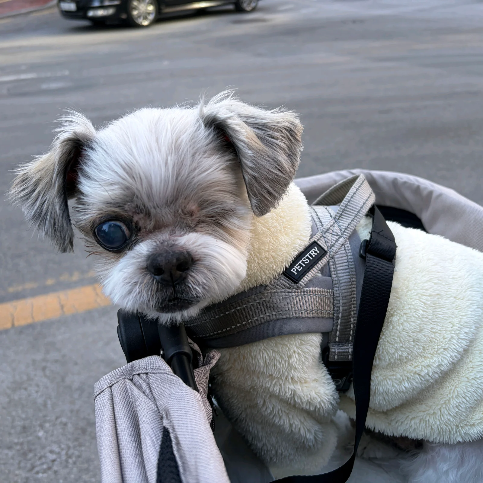 리뷰 사진 2