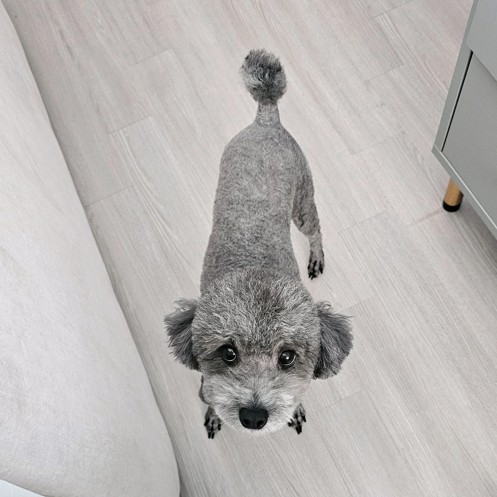 리뷰 사진 1