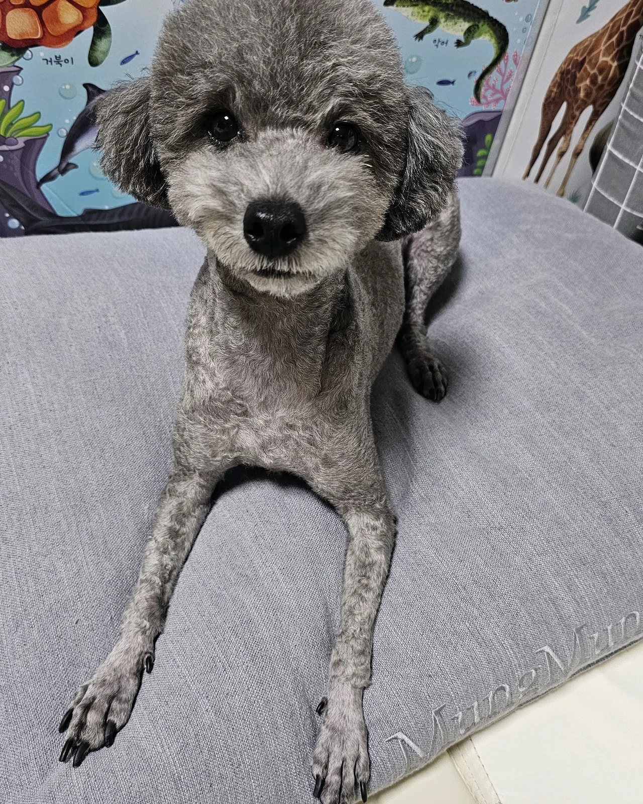 리뷰 사진 2