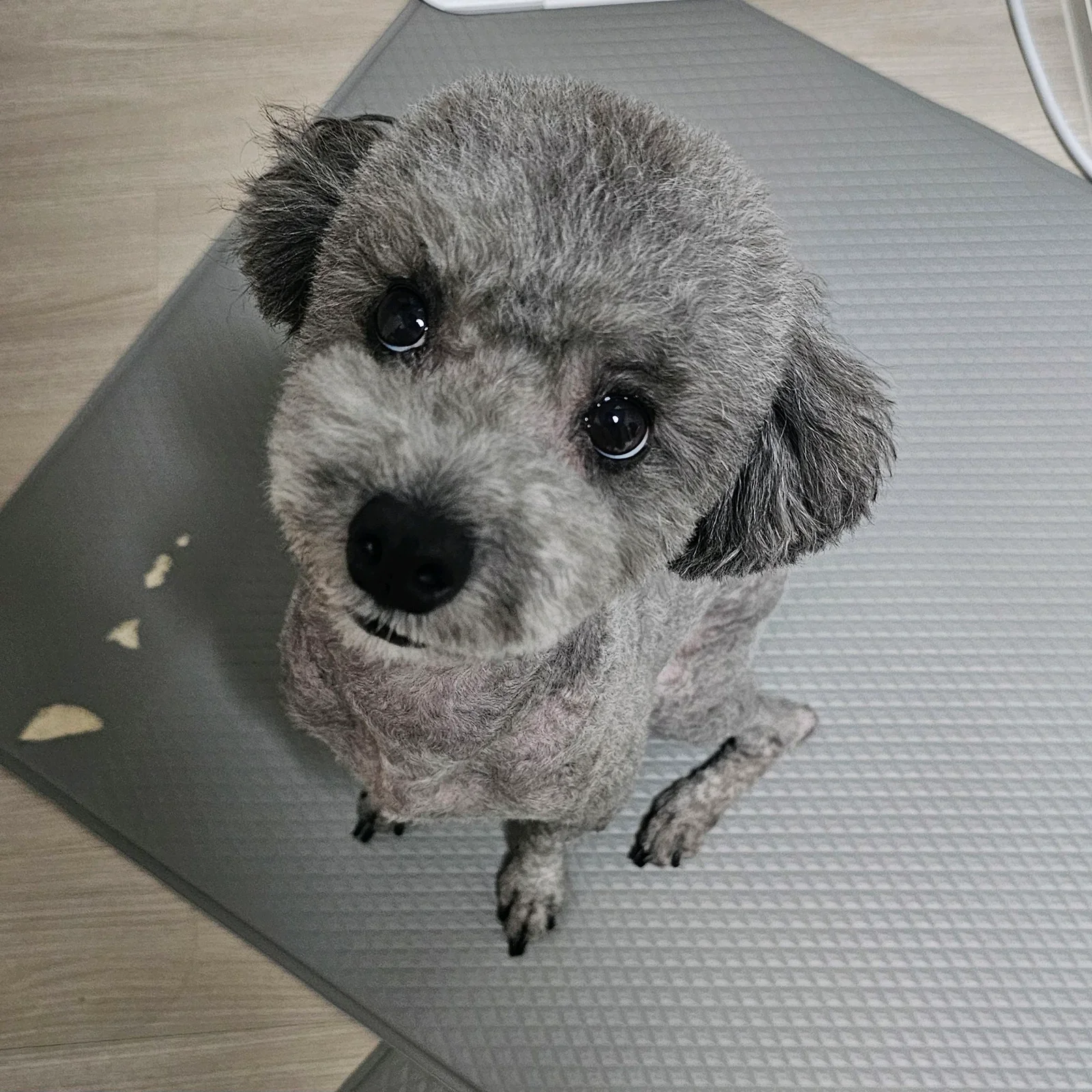 리뷰 사진 1