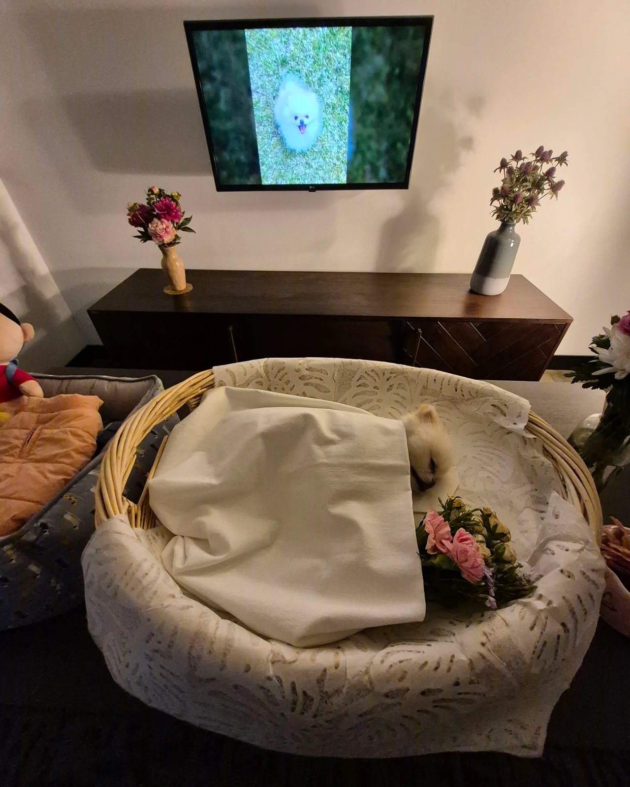 리뷰 사진 1