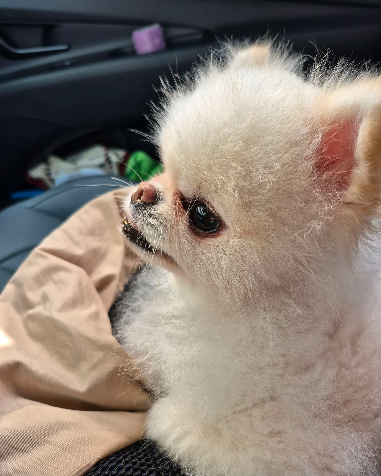 리뷰 사진 2