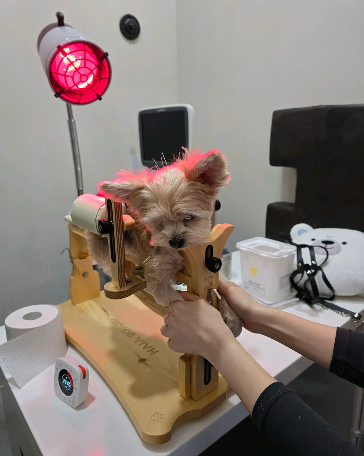 리뷰 사진 1