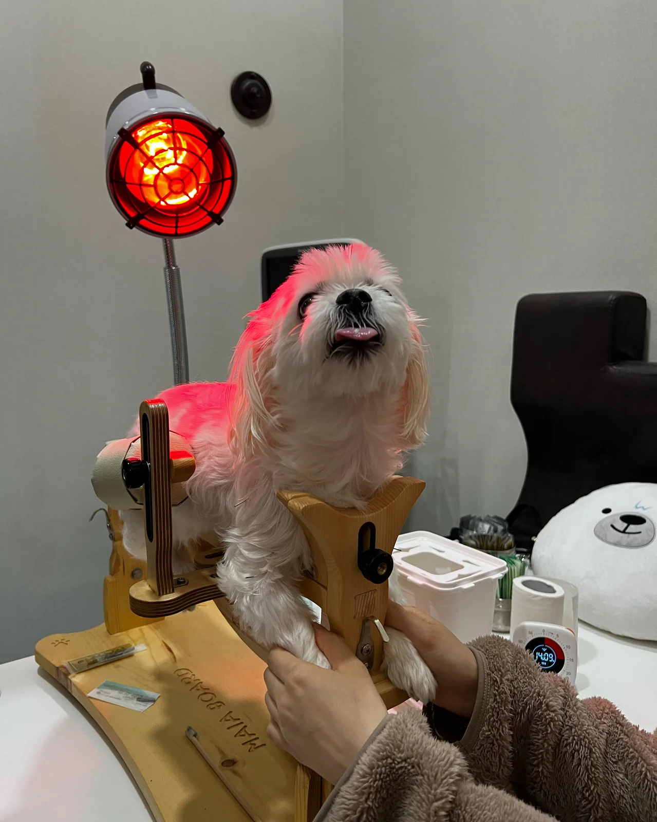 리뷰 사진 1
