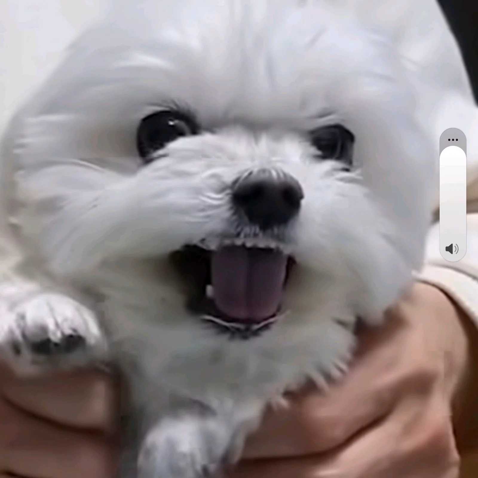 리뷰 사진 1