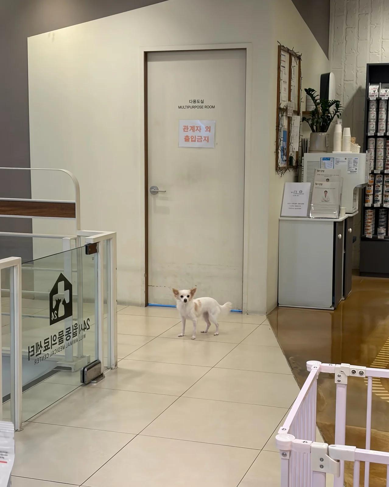 리뷰 사진 4