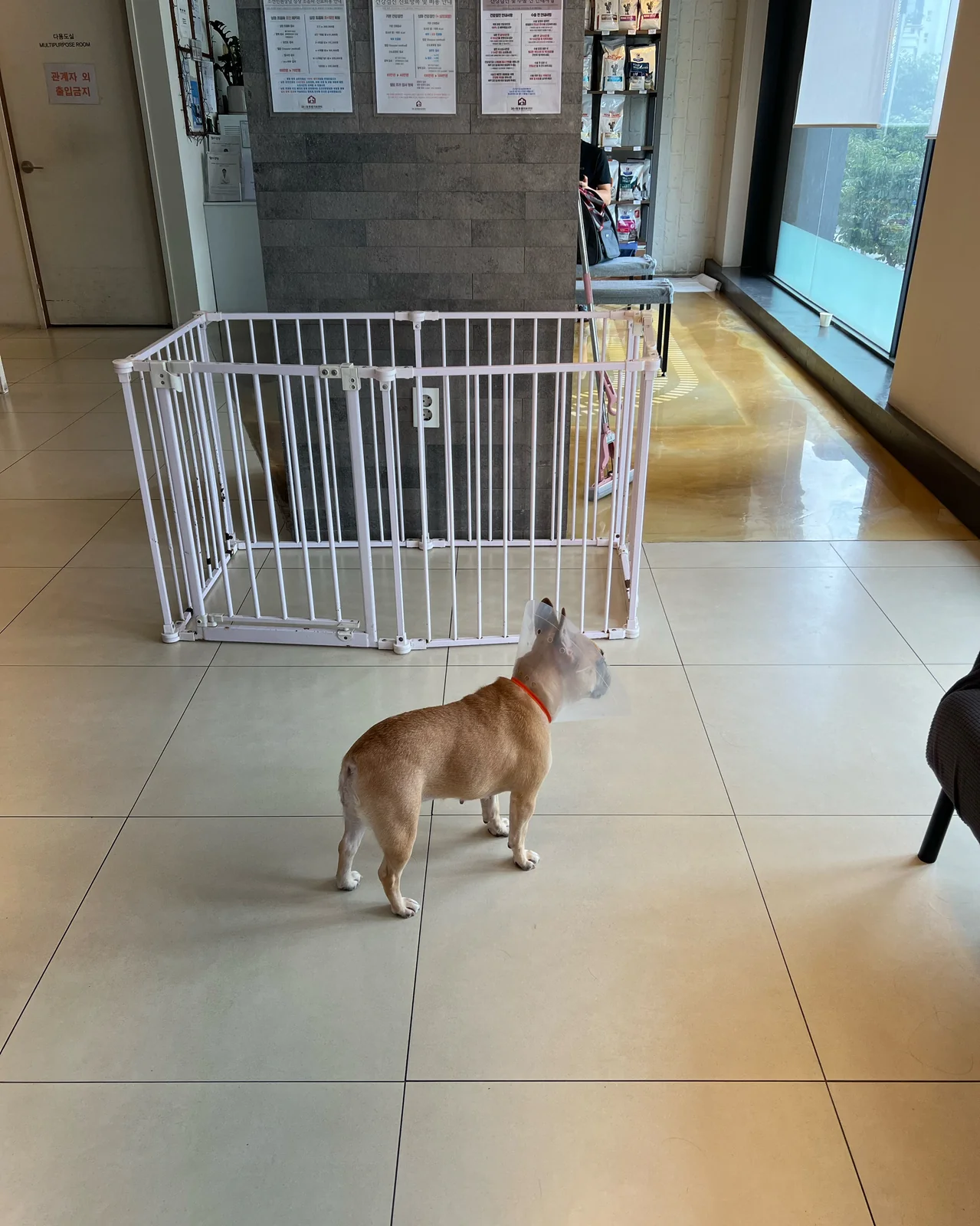 리뷰 사진 2
