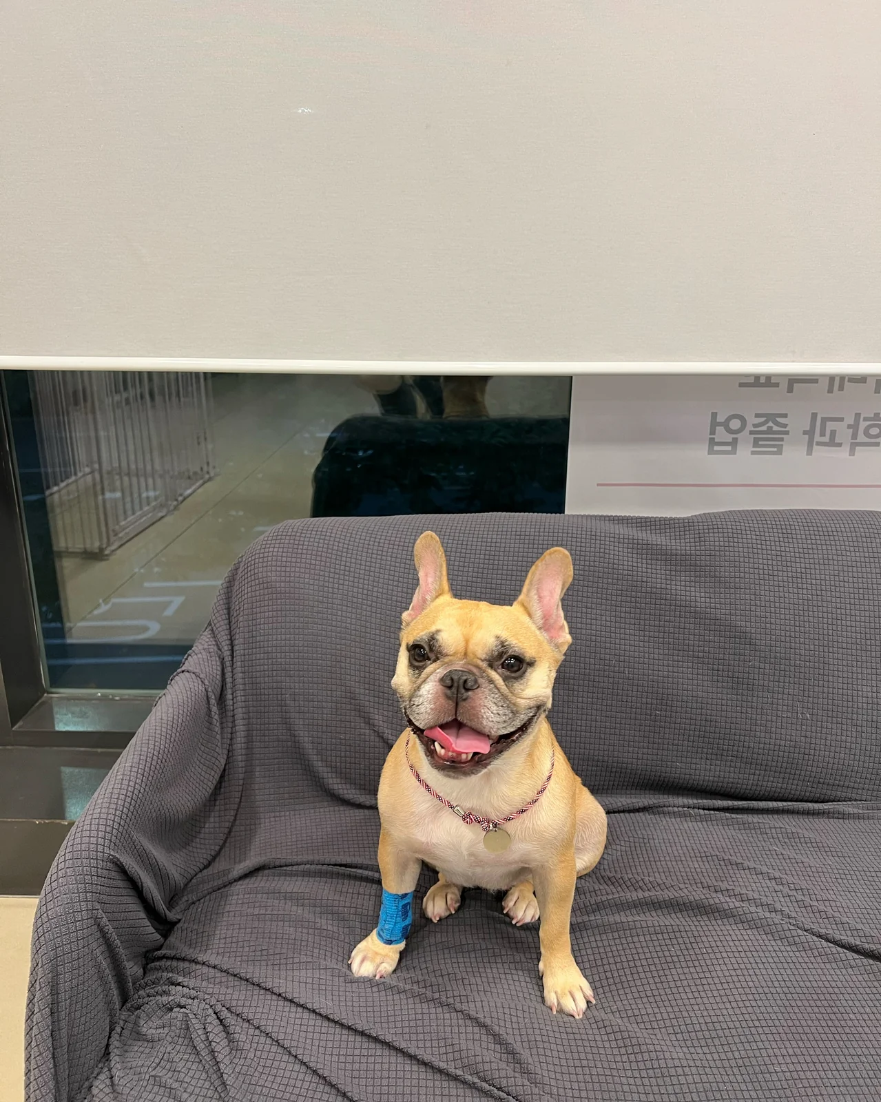 리뷰 사진 3