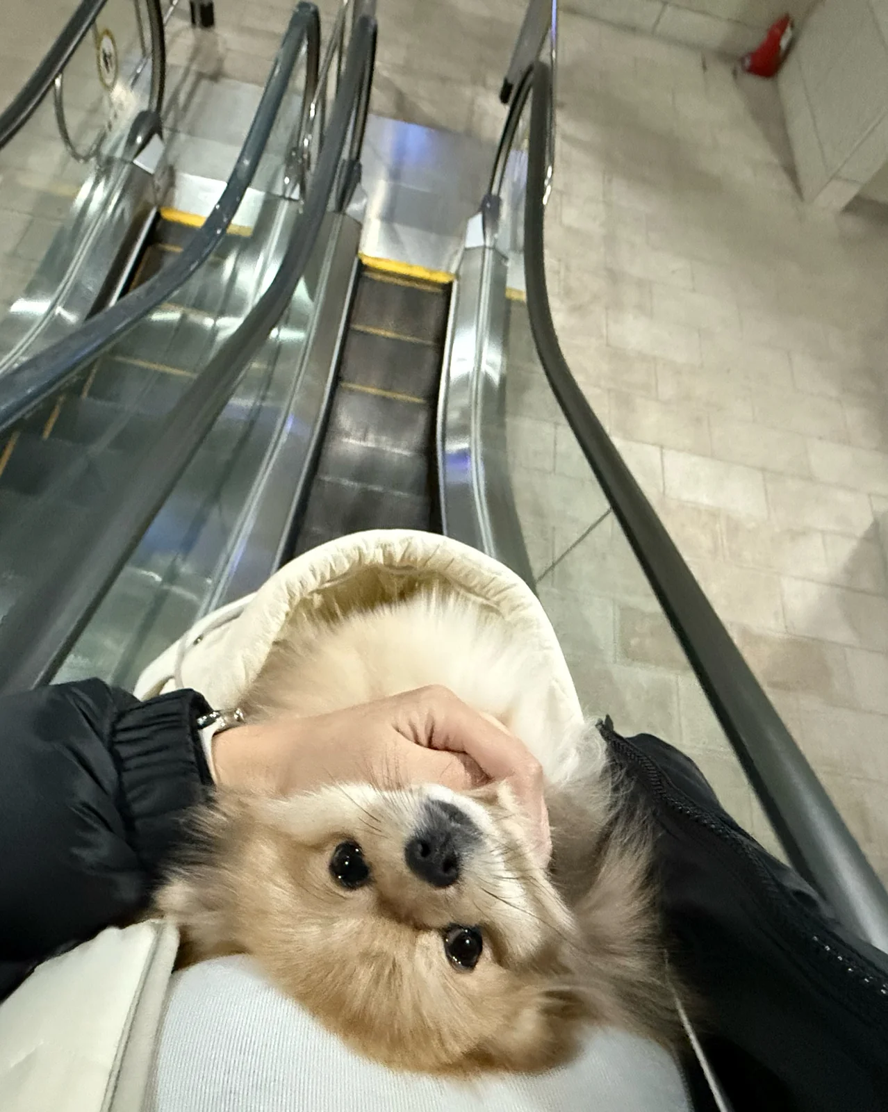 리뷰 사진 1