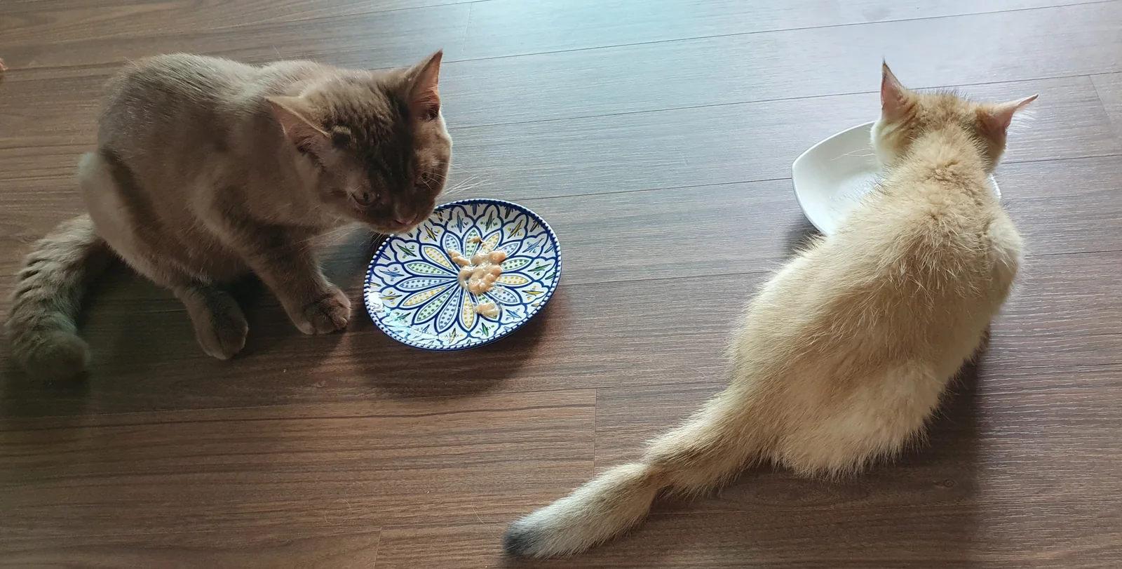 리뷰 사진 1