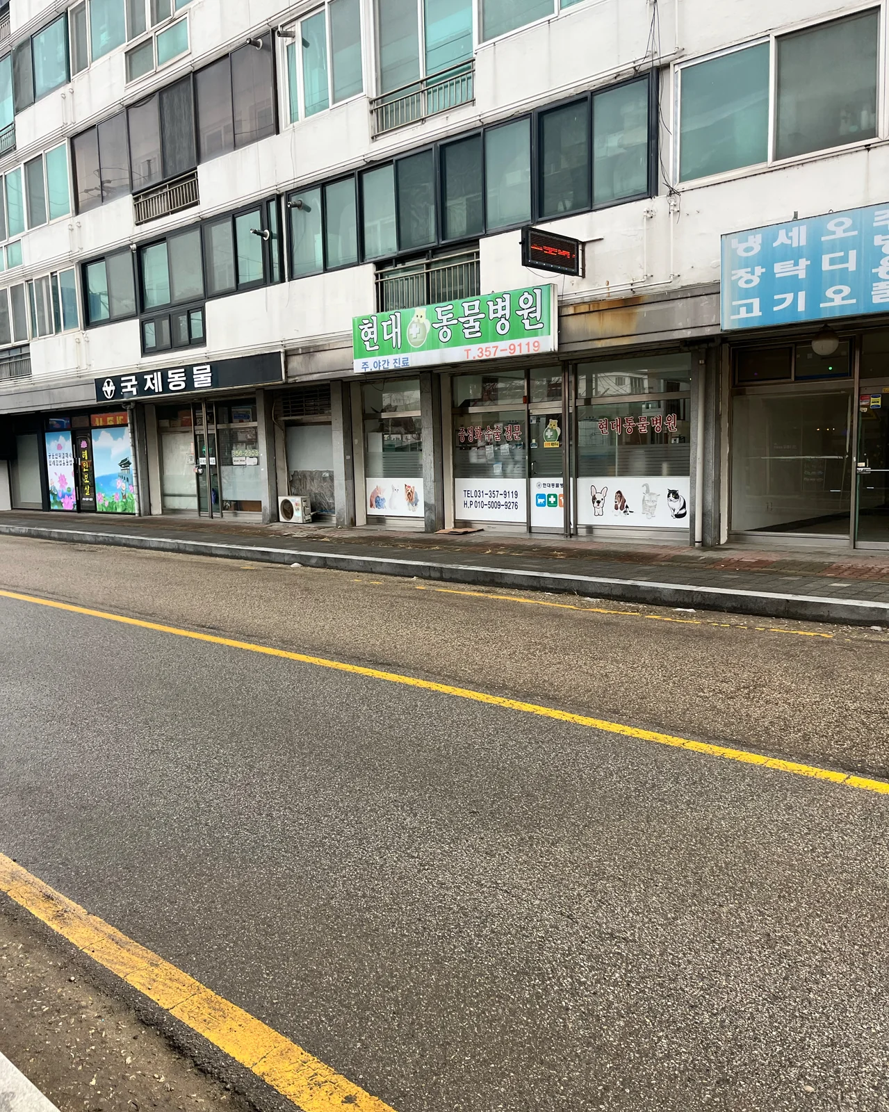 현대동물병원 사진 2