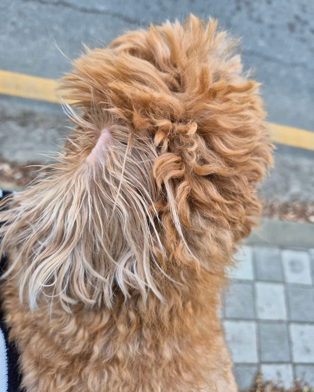 리뷰 사진 4