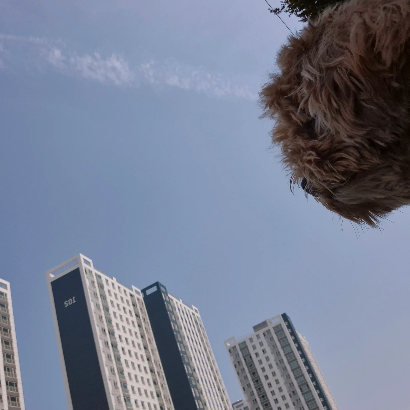 리뷰 사진 5