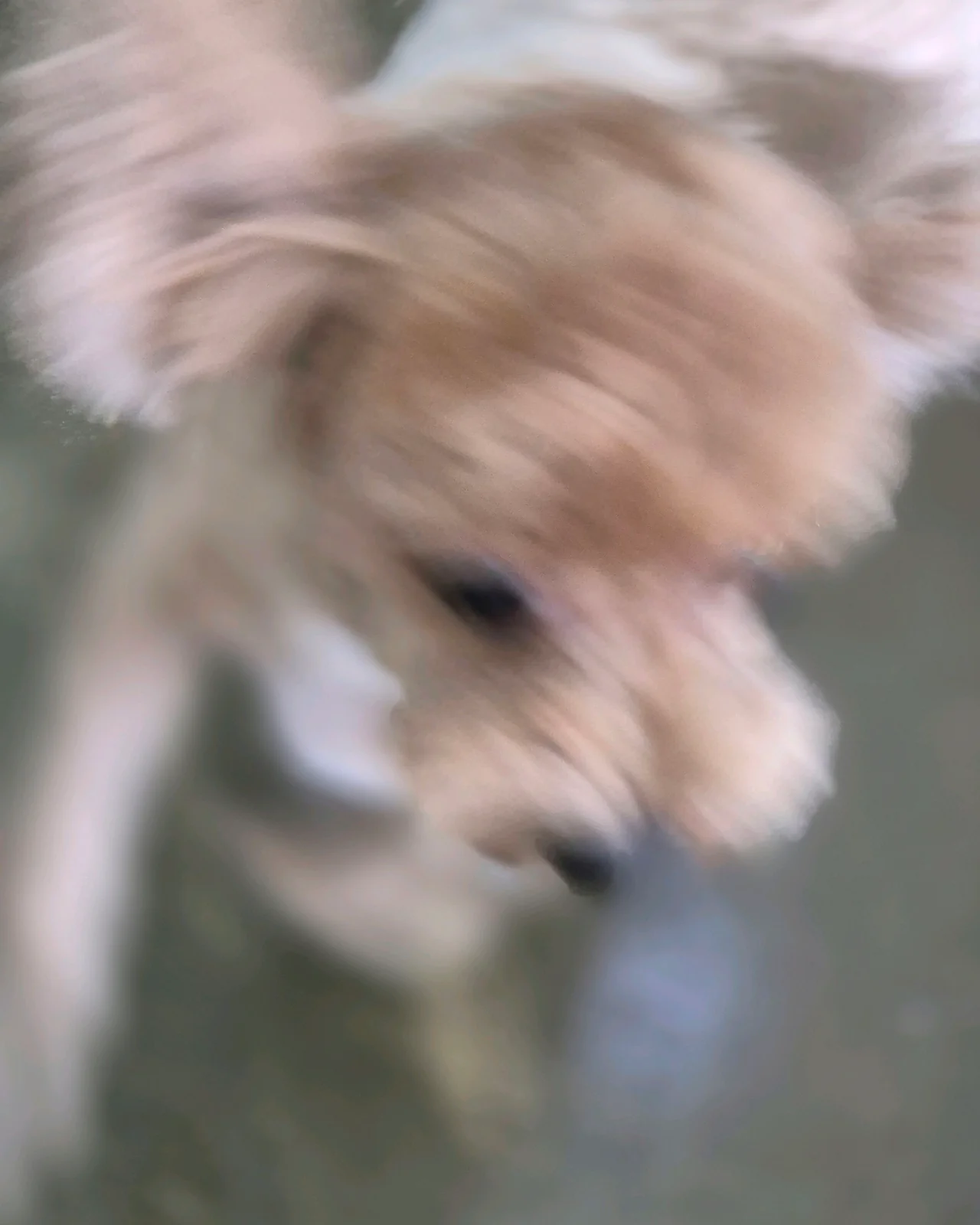 리뷰 사진 6
