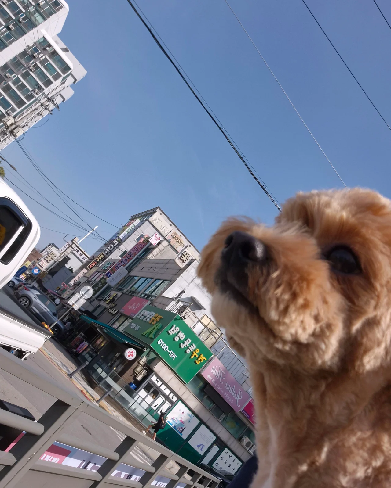 리뷰 사진 7