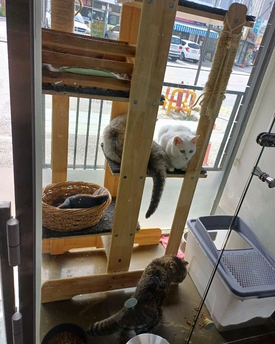 리뷰 사진 5