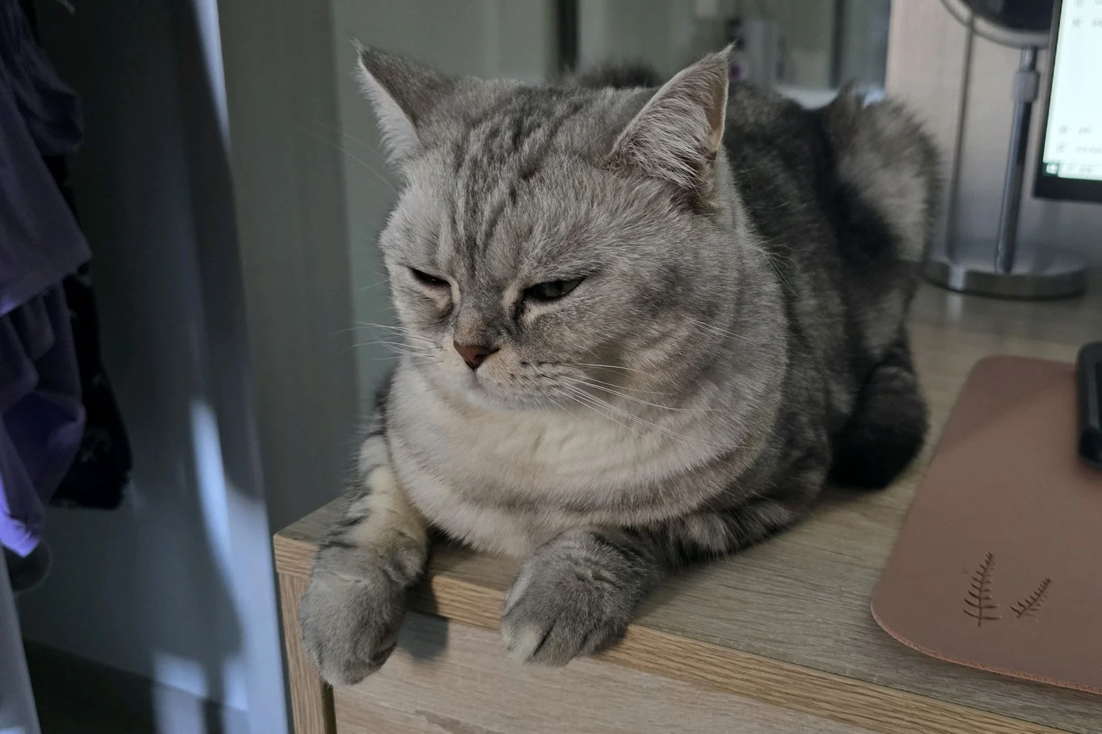 리뷰 사진 1