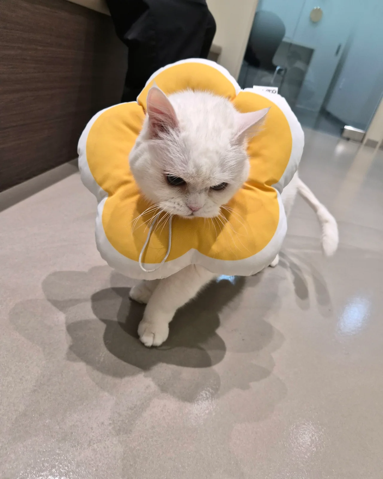 리뷰 사진 1