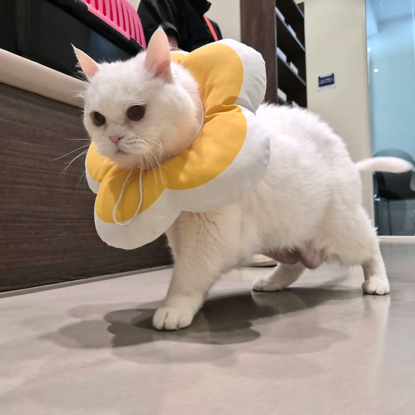 리뷰 사진 2