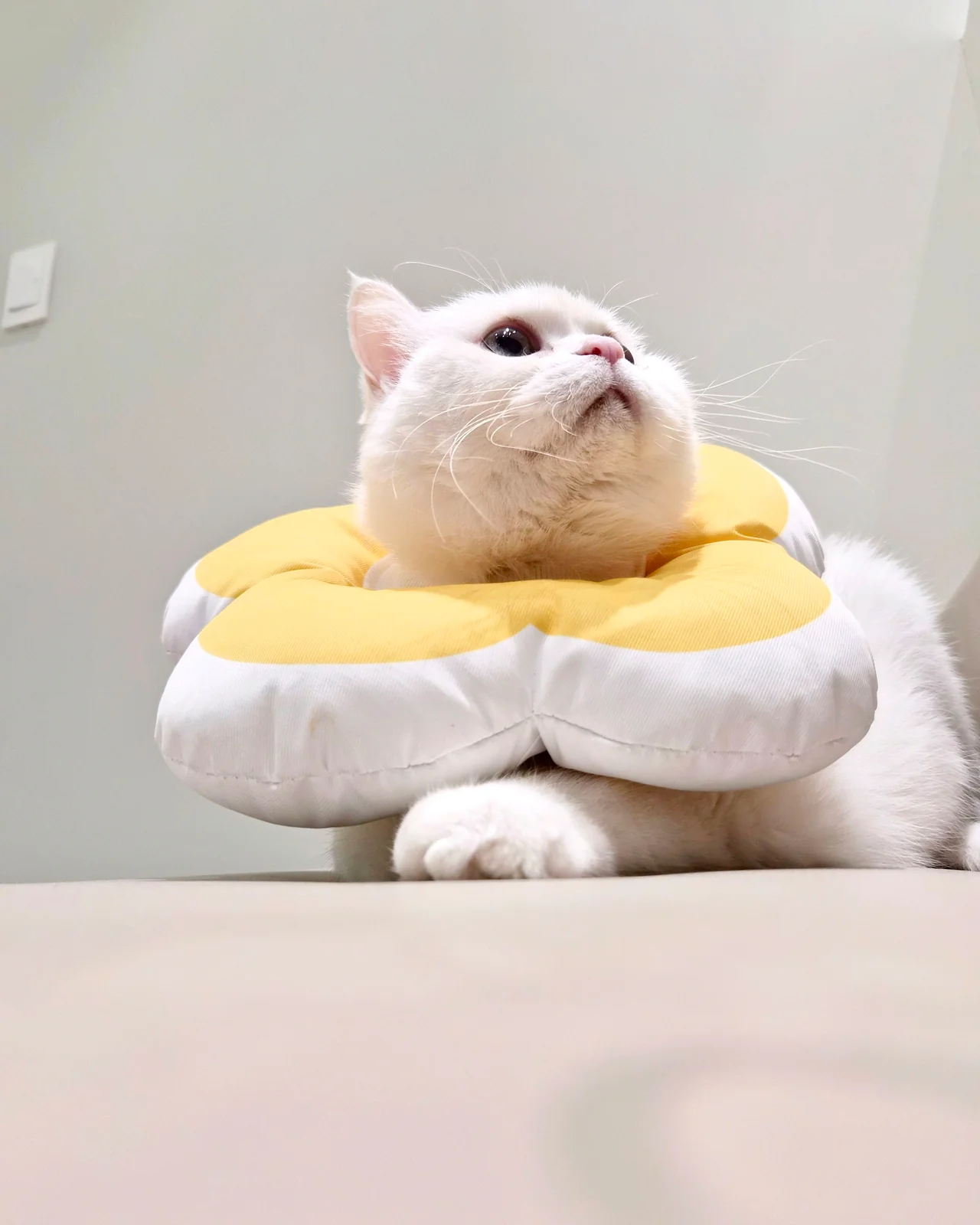 리뷰 사진 1