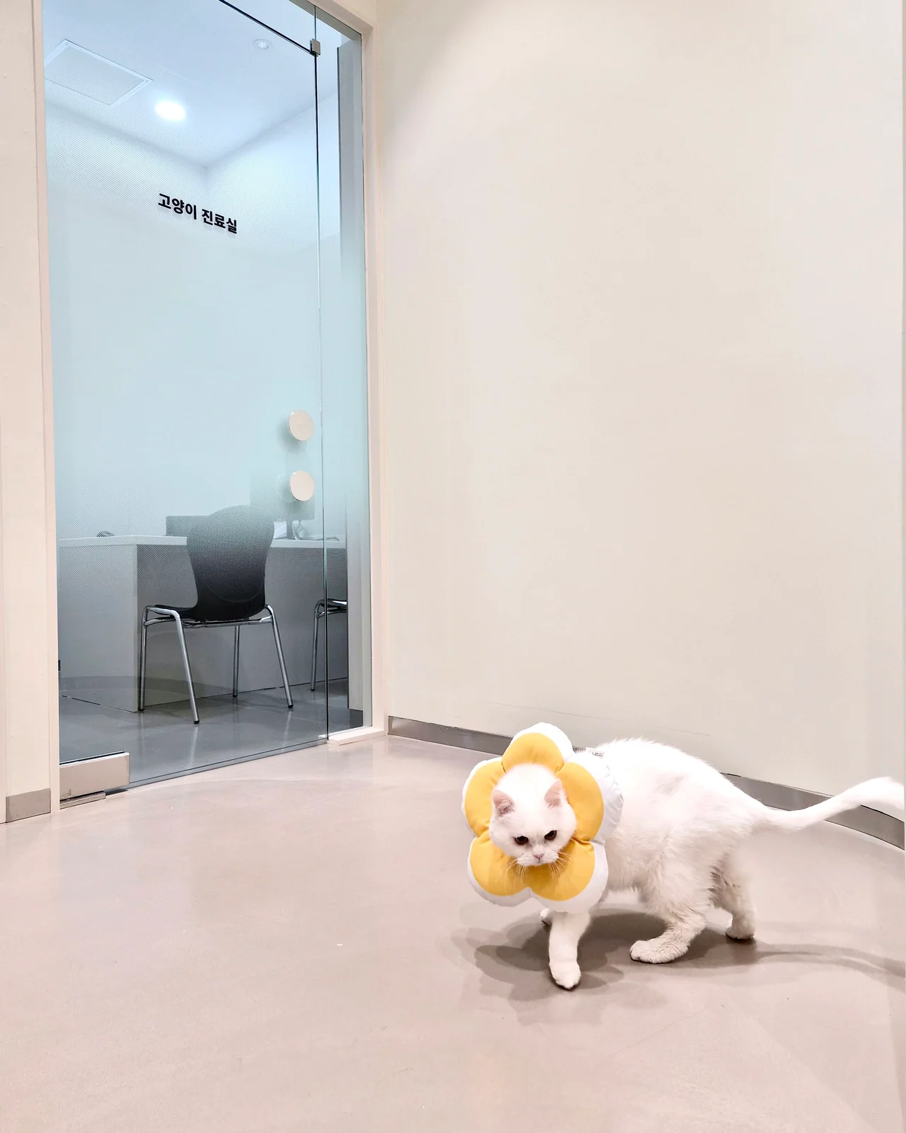 리뷰 사진 1